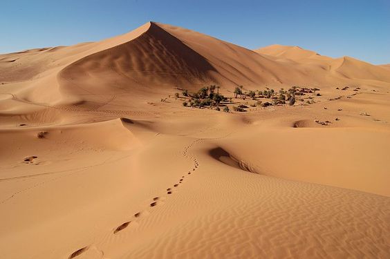 Qual o maior deserto do mundo e onde se localiza A Vida No Saara O Maior Deserto Quente Do Mundo